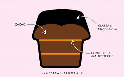 Un plumcake che crede di essere una torta Sacher